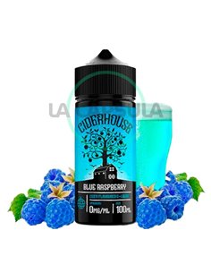 Frumist Cider House Blue Raspberry 100ml