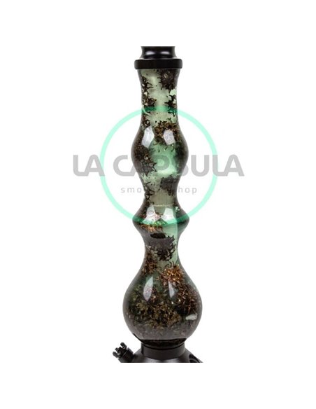 Regal Epoxy Queen Mint Gumseedpod