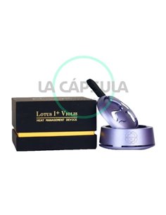 Kaloud Lotus 1+ Violis Purple