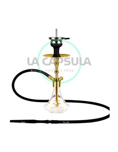 Aladin MVP 360 Gold clear with gold Ring