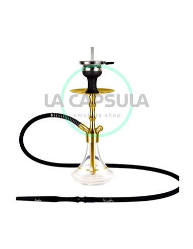 Aladin MVP 360 Gold clear with gold Ring
