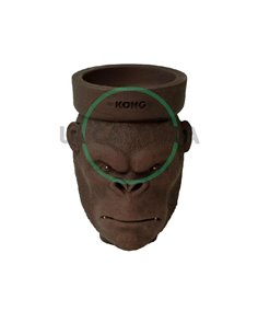 Kong King Kong