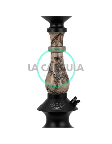 Regal Prince Art Zeus