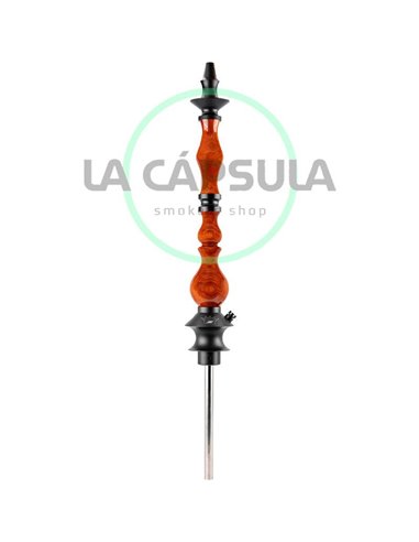 Regal King Blood Wood Exotic 3