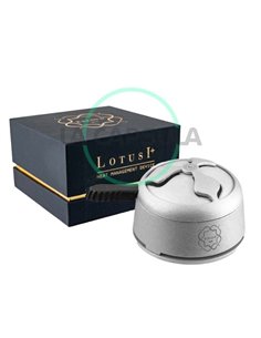 Kaloud Lotus 1+
