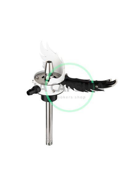 El Bomber Angel`s Wing